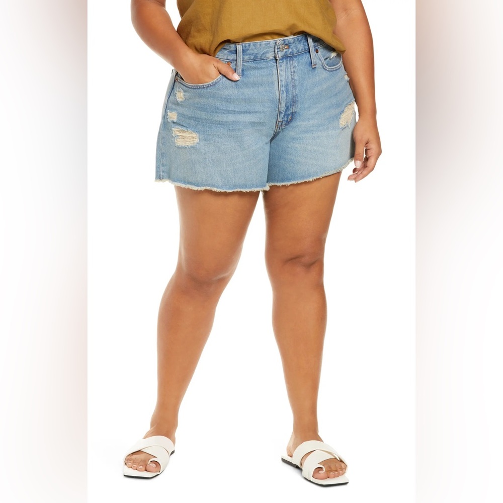 NWOT Madewell Plus Relaxed Denim Shorts: Ripped Edition - Size 18W